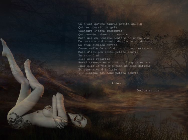 Wallpapers Digital Art Poetry - Texts Adieu petite souris ...