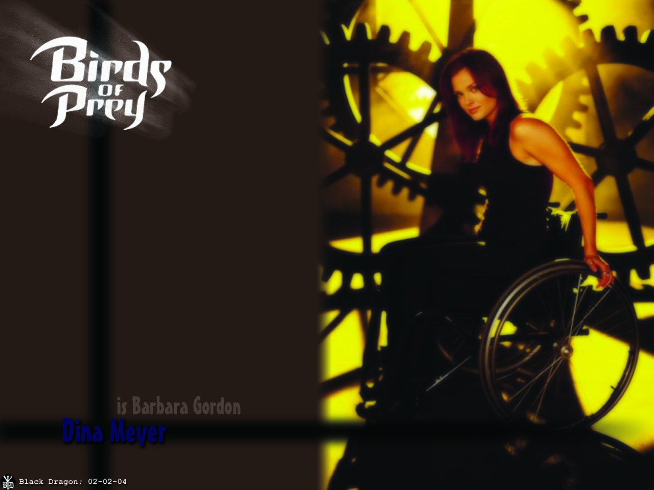 Wallpapers TV Soaps Birds of Prey Dina Meyer is Barbara