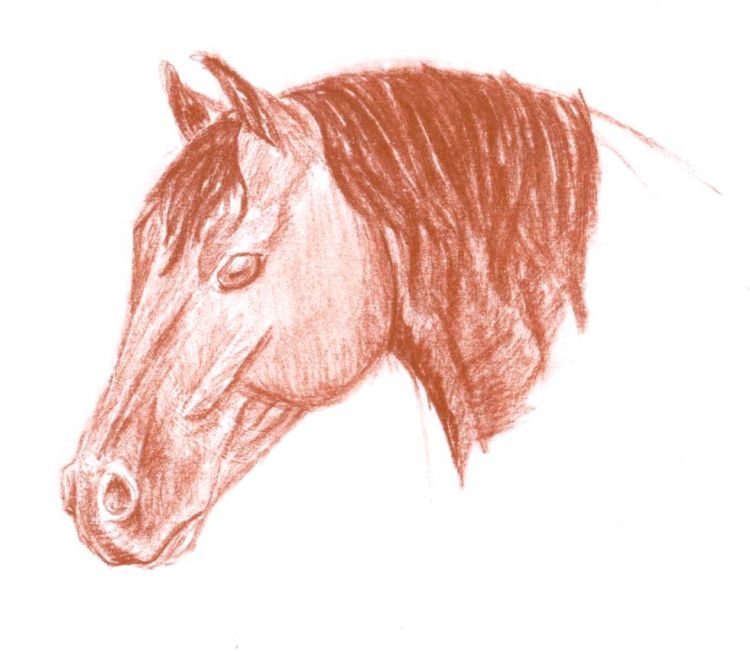 Wallpapers Art - Pencil Animals - Horses Cheval