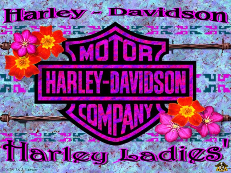 Wallpapers Motorbikes Harley Davidson Harley Ladies'