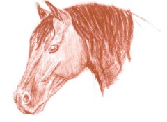 Wallpapers Art - Pencil Cheval