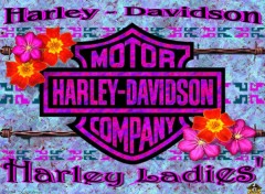 Fonds d'cran Motos Harley Ladies'