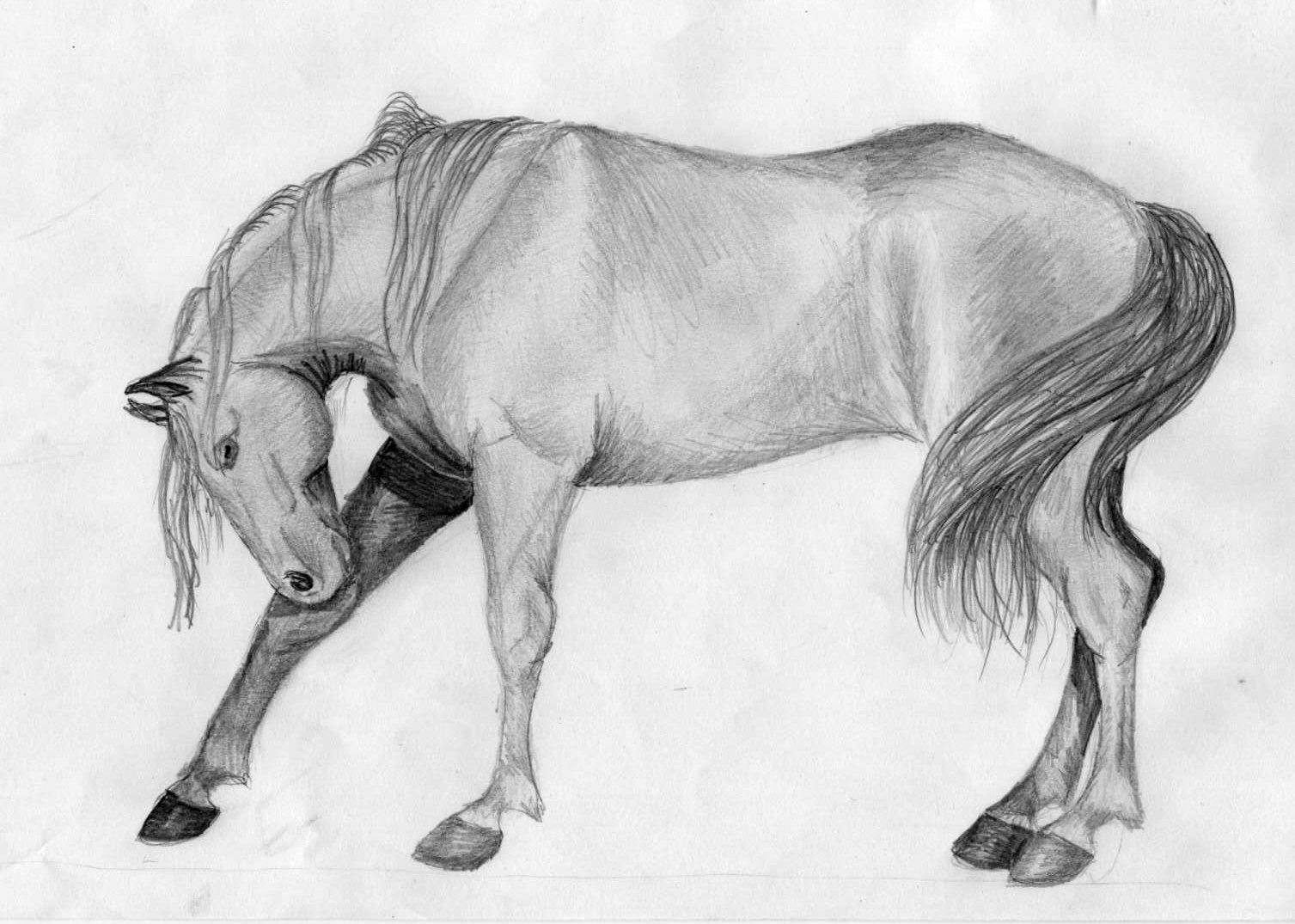 Fonds d'cran Art - Crayon Animaux - Chevaux Cheval