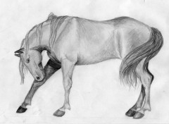 Wallpapers Art - Pencil Cheval