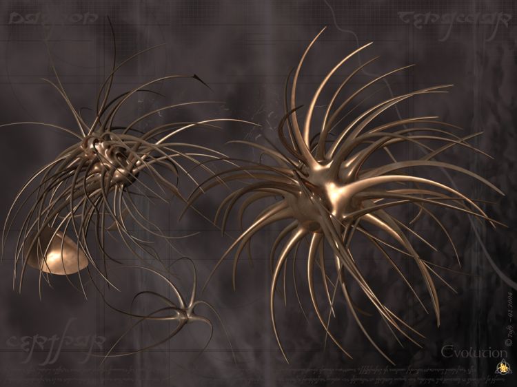 Wallpapers Digital Art 3D - Cinema 4D Evolution