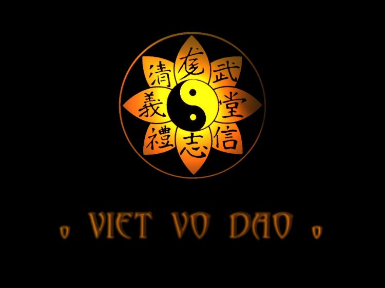 Wallpapers Sports - Leisures Sports - Misc Viet-Vo-Dao