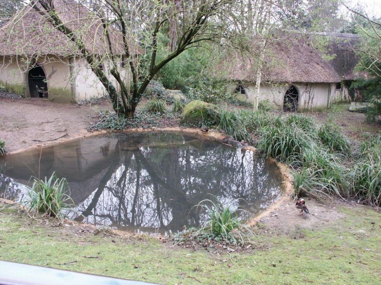 Fonds d'cran Nature Parcs - Jardins parc du thabor a Rennes Bassin