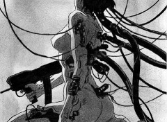 Fonds d'cran Manga ghost in the shell