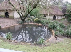 Fonds d'cran Nature parc du thabor a Rennes Bassin