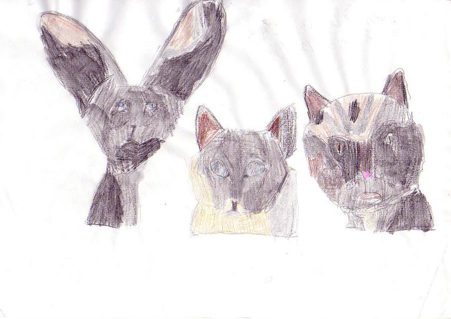 Fonds d'cran Art - Crayon Animaux - Chats 3 chats