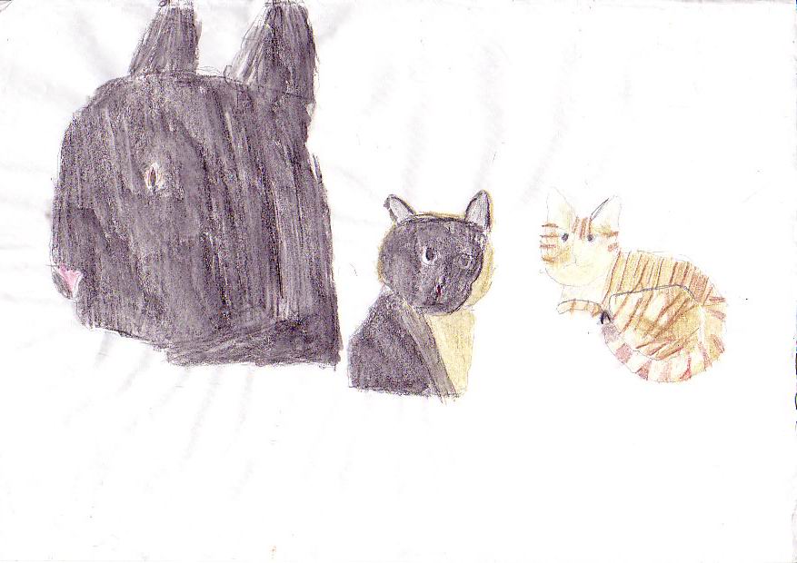 Fonds d'cran Art - Crayon Animaux - Chats 03 Chats