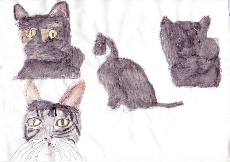 Fonds d'cran Art - Crayon Animaux - Chats 4 chats