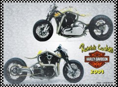 Fonds d'cran Motos Rumble Custom '03