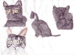 Wallpapers Art - Pencil 4 chats