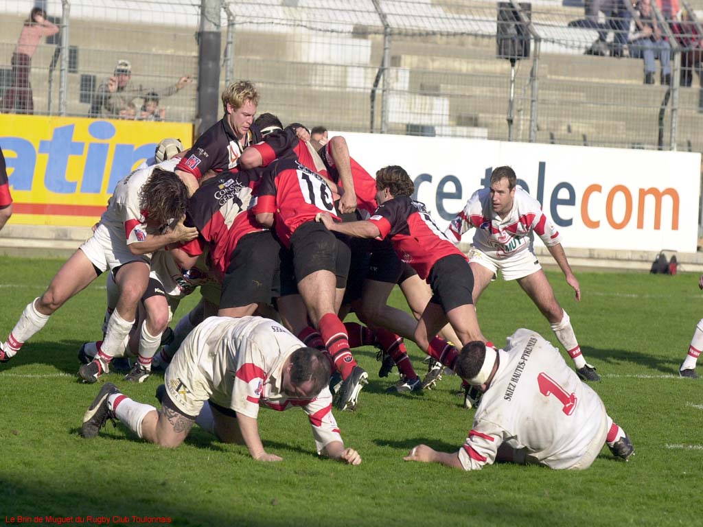 Fonds d'cran Sports - Loisirs Rugby RUGBY CLUB TOULONNAIS 3