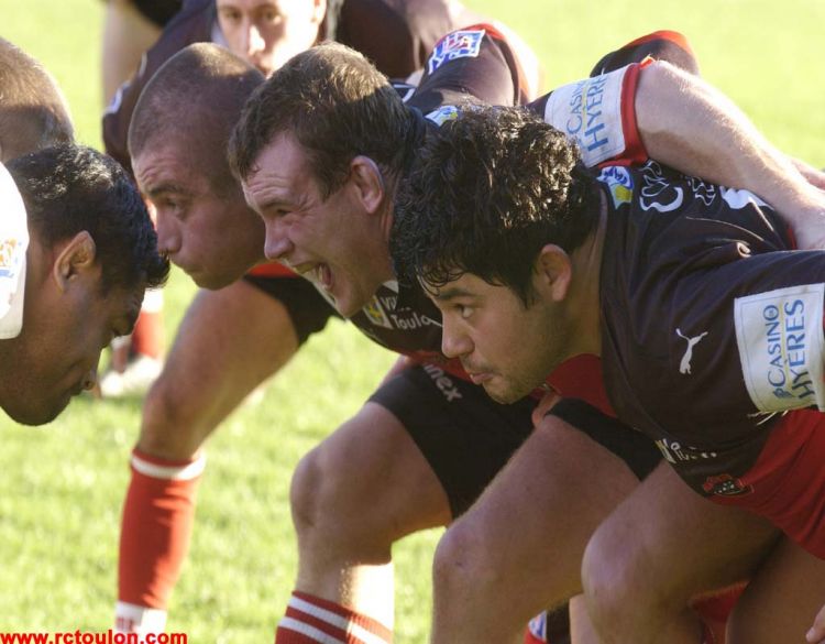 Fonds d'cran Sports - Loisirs Rugby RUGBY CLUB TOULONNAIS