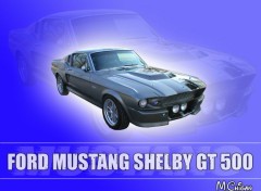 Fonds d'cran Voitures Ford Mustang Shelby GT 500