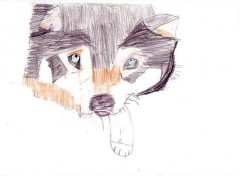 Wallpapers Art - Pencil Loup