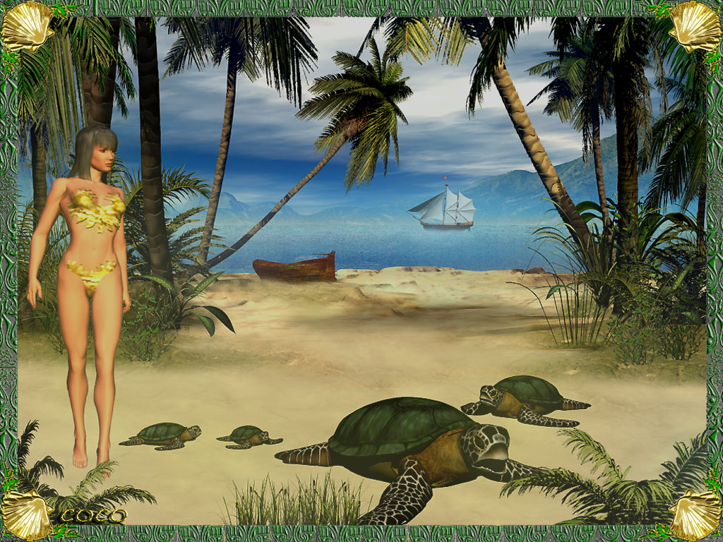 Wallpapers Animals Turtles Plage des tortues