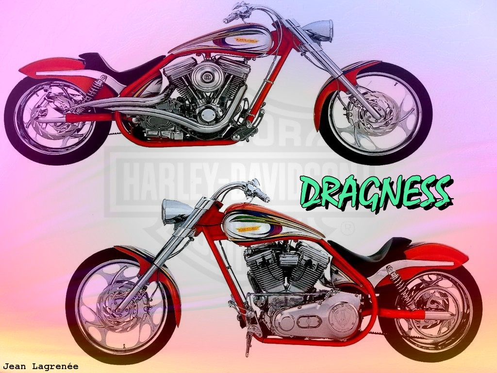 Wallpapers Motorbikes Harley Davidson Dragness