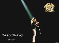 Fonds d'cran Musique Freddie Mercury