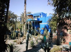 Wallpapers Nature jardins de majorelle