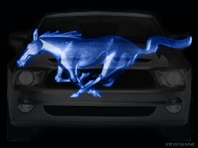 Wallpapers Cars Mustang MUSTANG