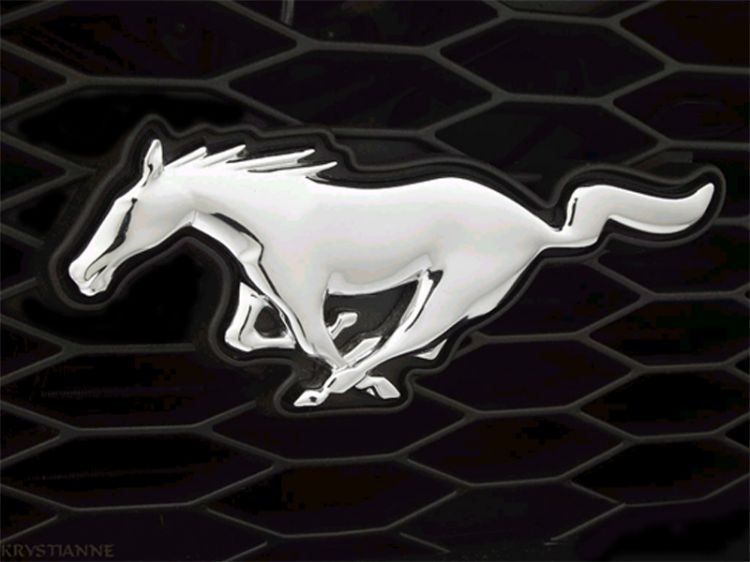 Wallpapers Cars Mustang MUSTANG