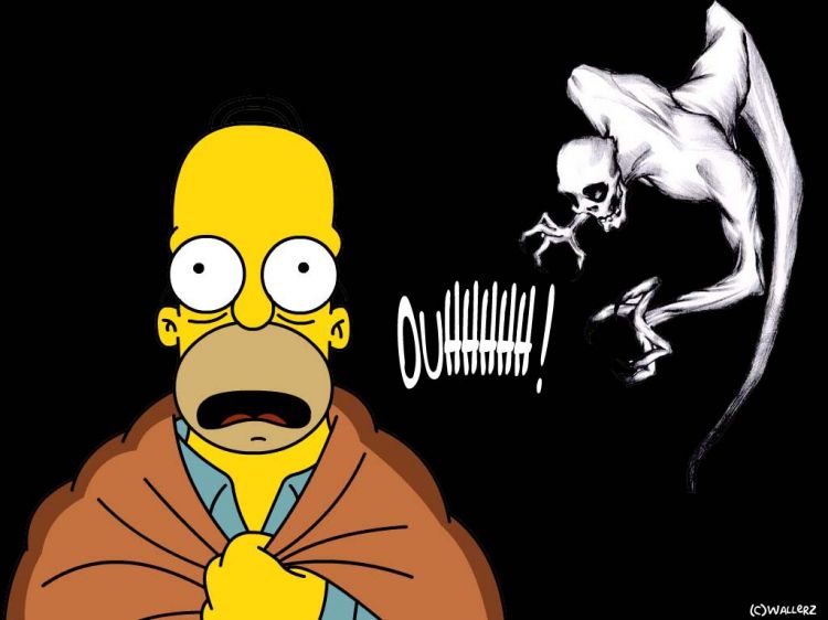 Fonds d'cran Dessins Anims Les Simpsons Homer pouilleu