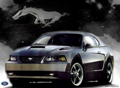 Fonds d'cran Voitures Mustang Bullitt 2001