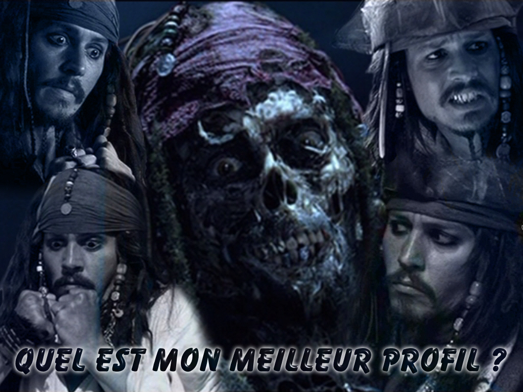 Wallpapers Movies Pirates of the Caribbean - The Curse Of The Black Pearl Quel est mon meilleur profil ?