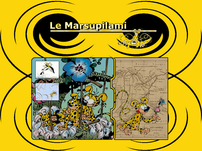 Fonds d'cran Dessins Anims Marsupilami Le Marsupilami & Co