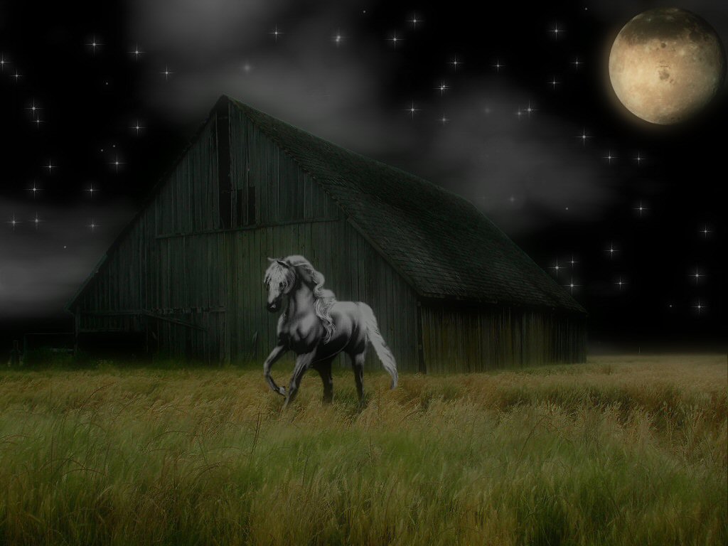 Wallpapers Digital Art Fantasy dream horse 4