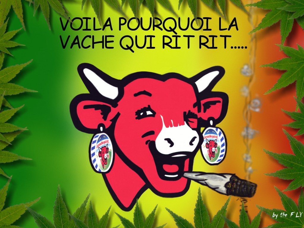 Fonds d'cran Humour Fausses pubs La vache ki rit