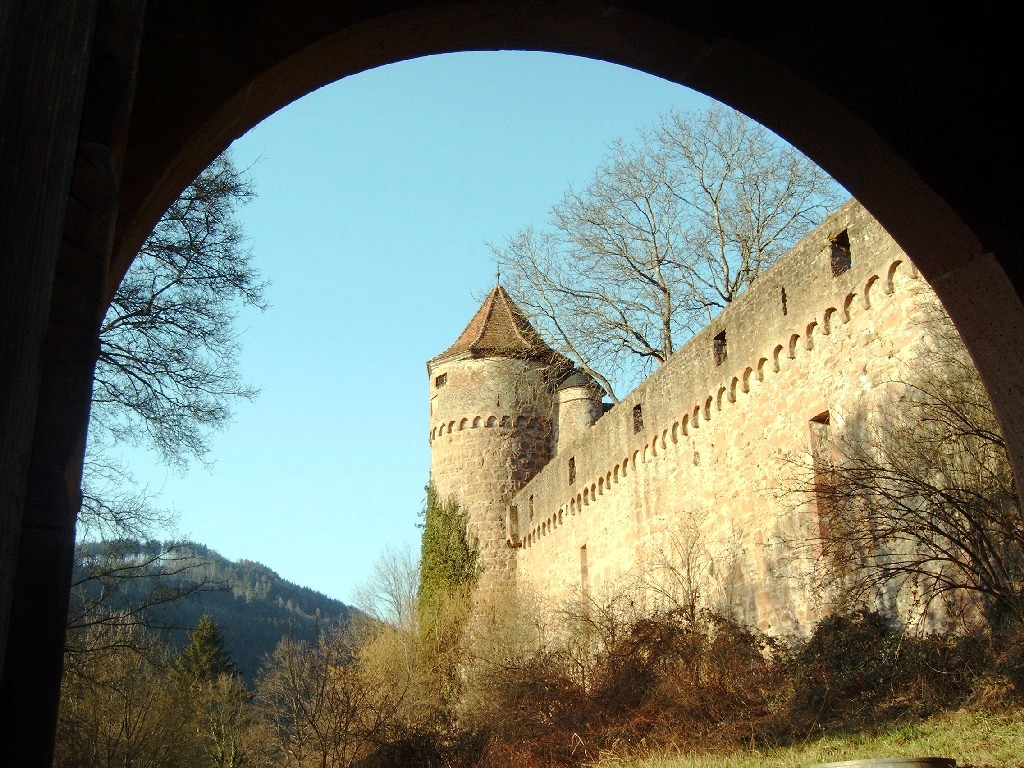 Wallpapers Constructions and architecture Castles - Palace Chateau Hirschorn