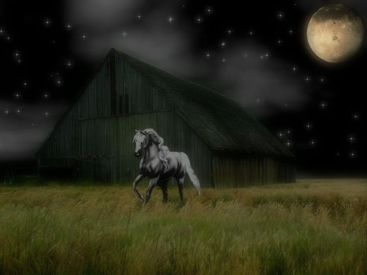 Wallpapers Digital Art Fantasy dream horse 4