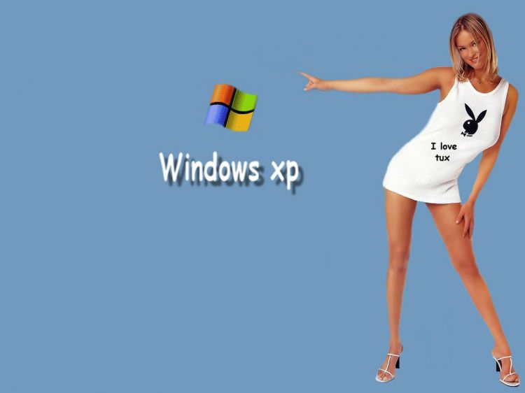 Fonds d'cran Informatique Windows XP Fond windoxs xp