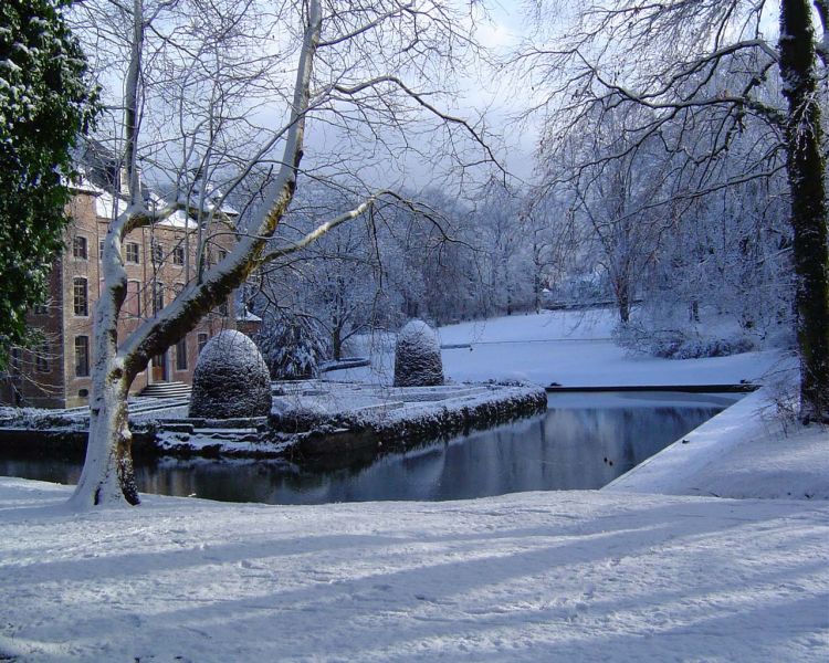 Fonds d'cran Nature Saisons - Hiver Coloma park-hiver.