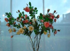 Fonds d'cran Nature Roses