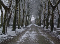 Fonds d'cran Nature Coloma-hiver.