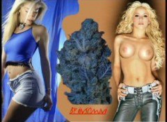 Fonds d'cran Charme Shakira Nude With Blueberry Cool Skin Weed