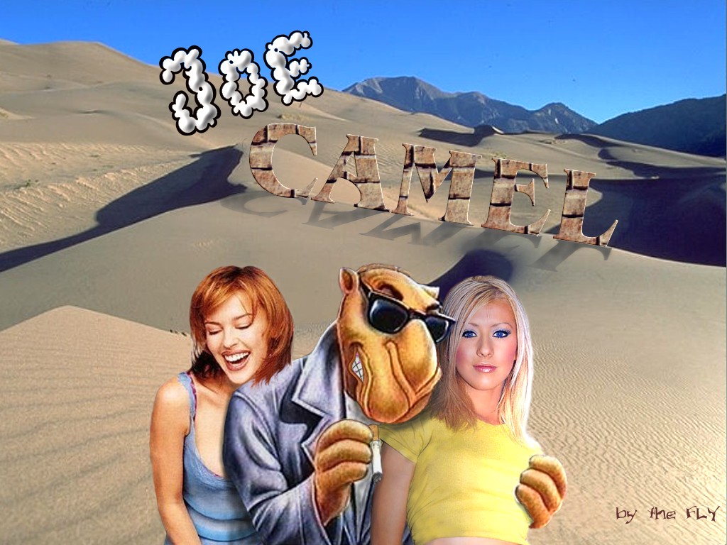 Fonds d'cran Humour Clins D'oeil Joe Camel