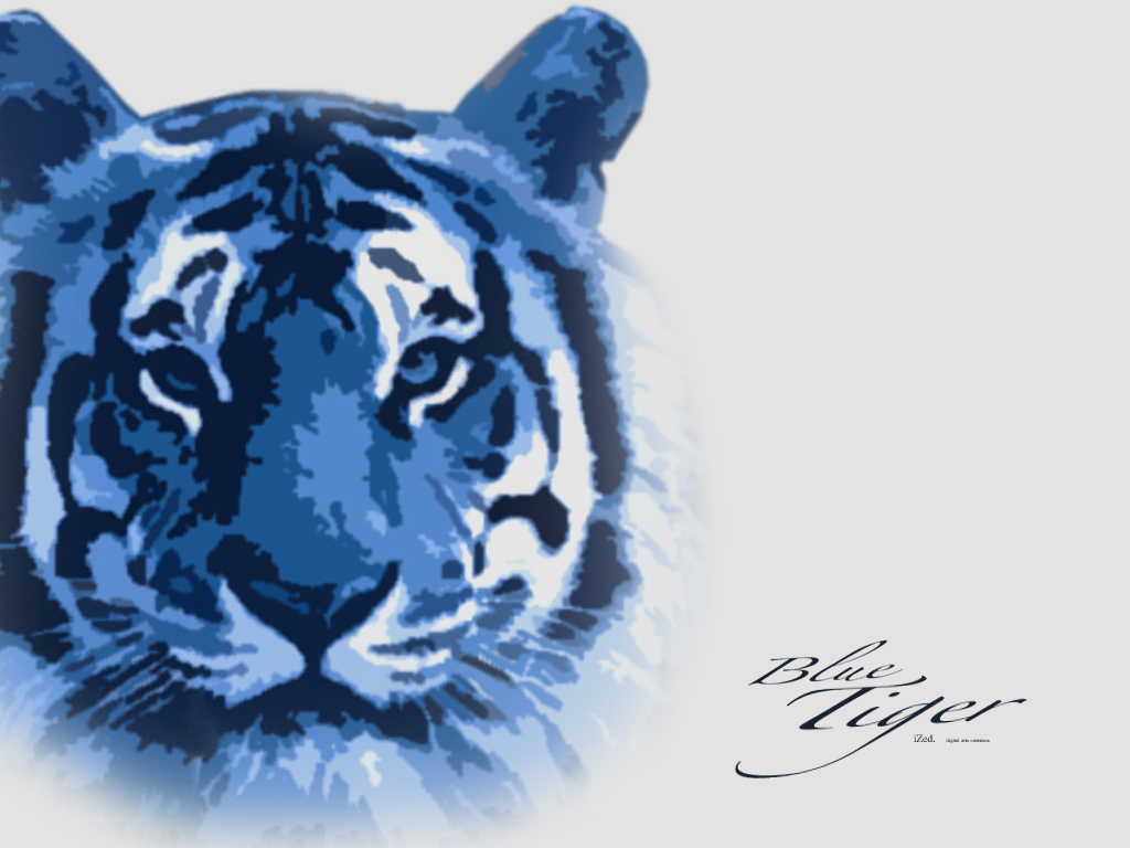 Fonds d'cran Animaux Flins - Tigres Blue Tiger