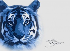 Fonds d'cran Animaux Blue Tiger