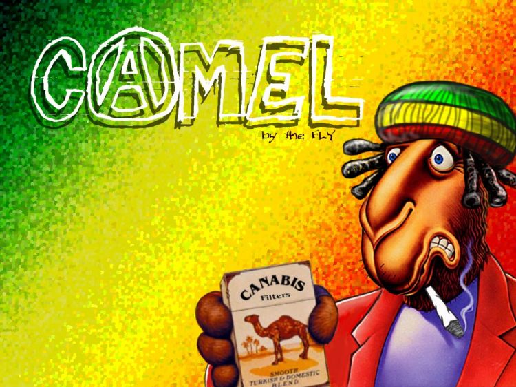 Fonds d'cran Humour Fausses pubs Camel-Rasta