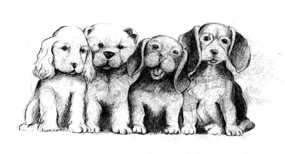 Wallpapers Art - Pencil Animals - Dogs chiots