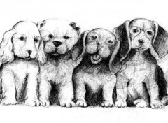 Fonds d'cran Art - Crayon chiots