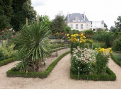 Fonds d'cran Nature Jardin thabor a Rennes2