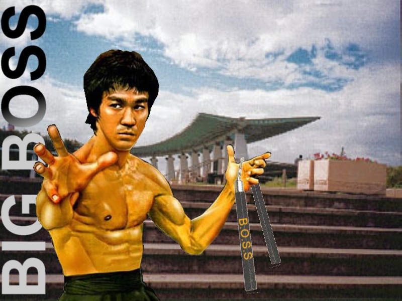 Wallpapers Celebrities Men Bruce Lee BIG BOSS