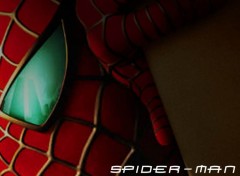 Fonds d'cran Cinma Spider-Man